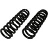 Coil Spring for 2015-2019 Chevrolet Colorado 2WD/4WD  0'' Front Moog
