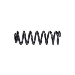 Coil Spring for 2011-2018 Ram 1500 2WD/4WD 0.75'' Rear