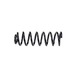 Coil Spring for 2011-2018 Ram 1500 2WD/4WD 0.75'' Rear