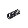 Coil Spring for 2014-2024 Ram 2500 4WD 2'' Front