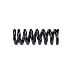 Coil Spring for 2006-2020 GMC Savana 2500 1.25'' Front