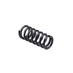 Coil Spring for 1994-2010 Dodge Ram 2500 4WD 2.5''