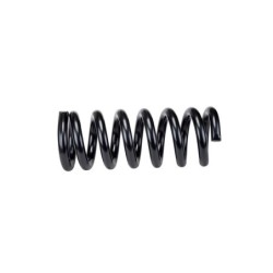 Coil Spring for 1996-2002 Chevrolet Express 3500 1.25'' Front