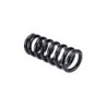 Coil Spring for 1989-1991 Chevrolet R3500 1.25'' Front