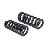 Coil Spring for 1994-2010 Dodge Ram 2500 2WD 1.25''