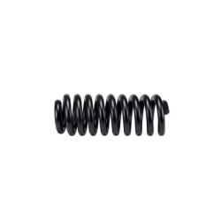 Coil Spring for 1999-2004 Ford F-350 Super Duty 2WD 1.625'' Front