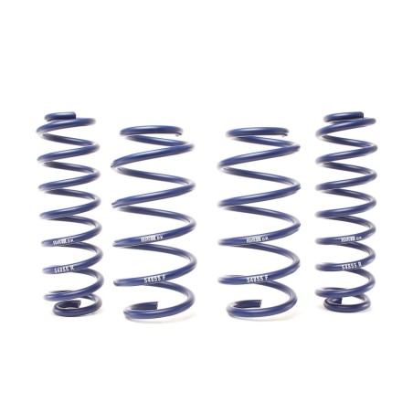 Coil Spring for 2018-2021 Volkswagen Tiguan 1'' Front and Rear