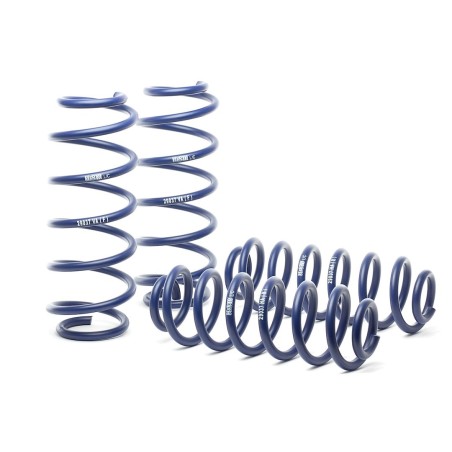Coil Spring for 2015-2020 Audi Q3 0.6-1.2'' Front and Rear