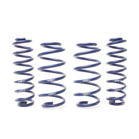 Coil Spring for 2012-2018 Toyota RAV4 0.6-1.1'' Front and RearFront and Rear