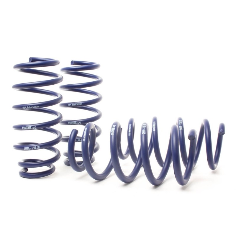 Coil Spring for 2020-2021 Tesla 3 1.4'' Front and Rear