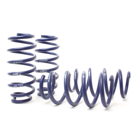 Coil Spring for 2023-2023 Tesla 3 1.4'' Front and Rear