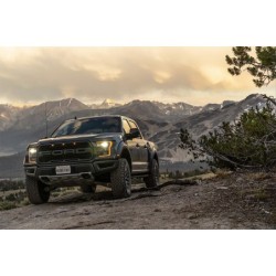 Coil Over Shock Absorber for 2019-2020 Ford F-150 0-2'' Front Lift