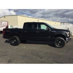 Lift Kit for 2015-2020 Ford F-150 4WD 2'' Front and Rear