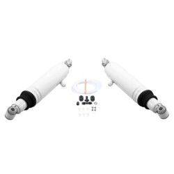 Shock Absorber for...