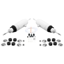 Shock Absorber for...