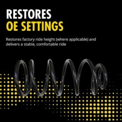 Electronic to Conventional Shock Absorber Conversion Kit for 2005-2008 Dodge Magnum 2WD  0'' Rear Monroe