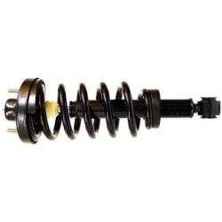Air Spring to Coil Spring...