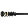 Shock Absorber for 2004-2008 Acura TL   0'' Front Monroe