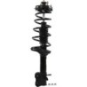 Shock Absorber for 1999-2003 Mazda Protege   0'' Rear Monroe