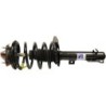 Shock Absorber for 2006-2007 Ford Focus   0'' Front Monroe
